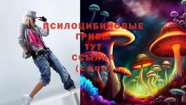 стаф Бронницы