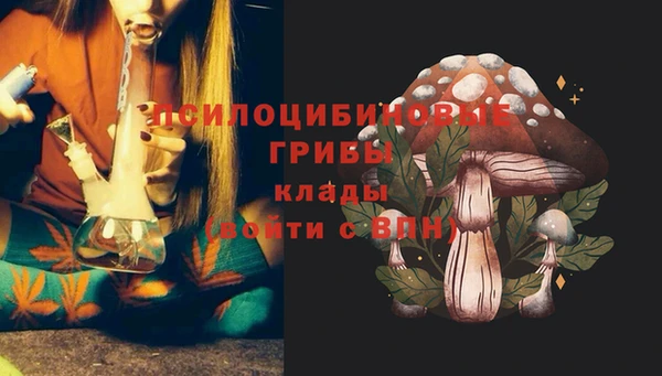 стаф Бронницы