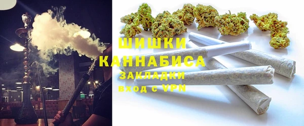 стаф Бронницы