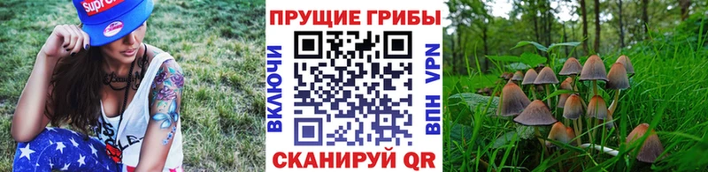 Галлюциногенные грибы GOLDEN TEACHER  Козельск 